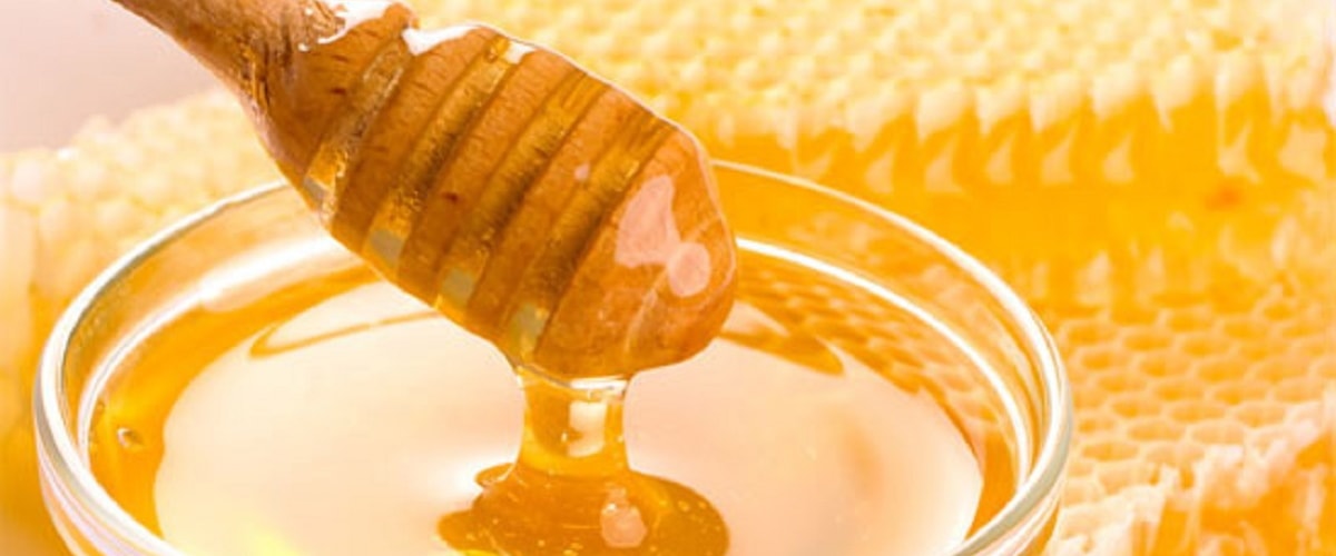 лечебные свойства мёда
